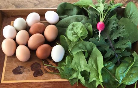 Locally Grown Vegetables in Conneticut and farm fresh eggs