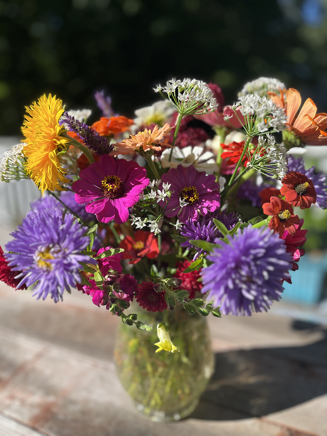 fresh flowers Flowers growing on Francis Drive Farm
