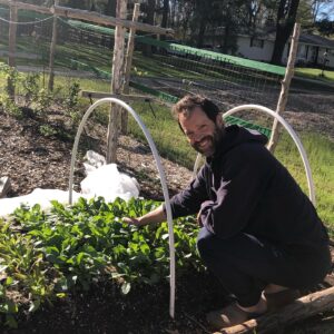 growing vegetables