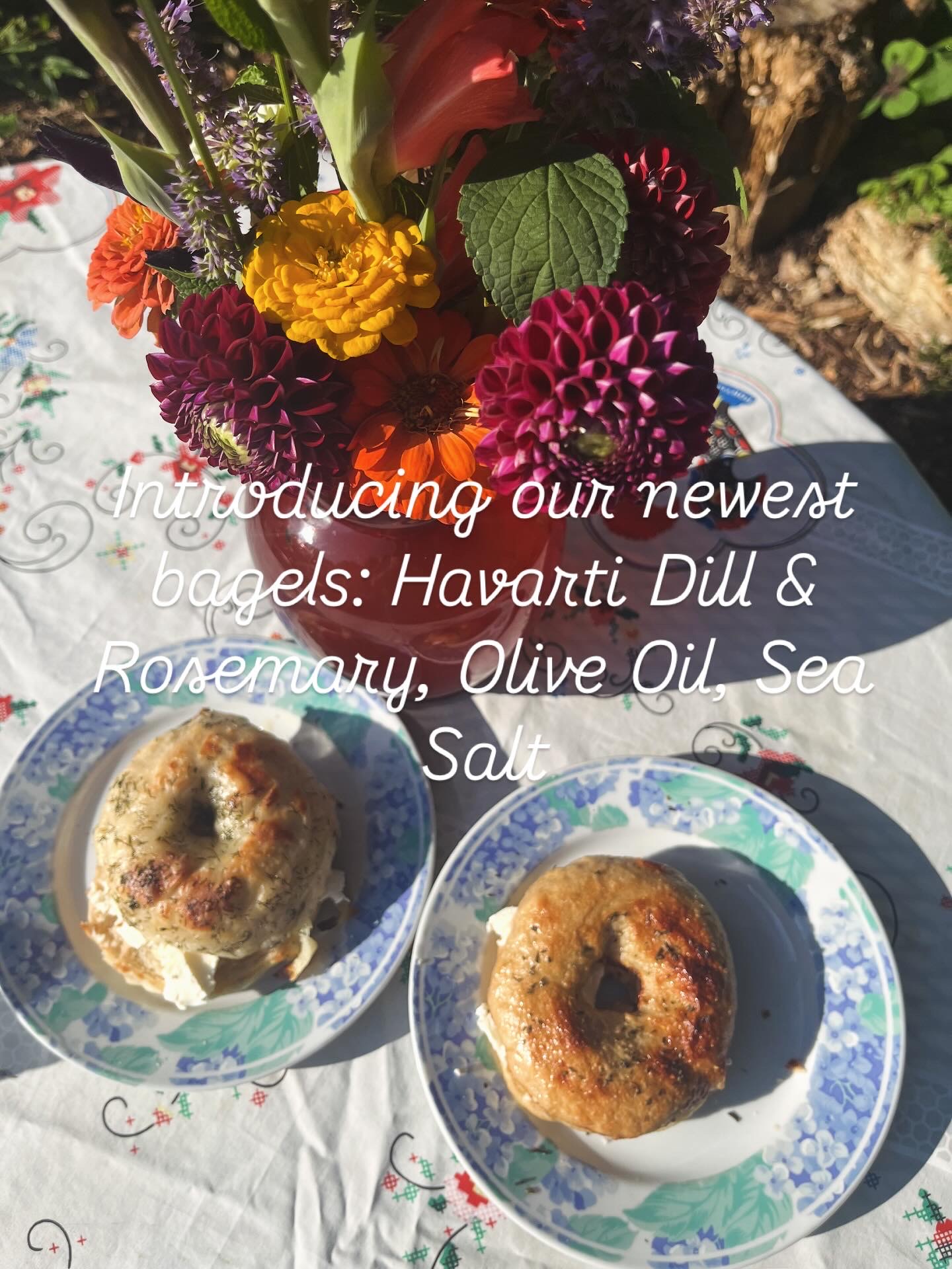 Rosemary and Dil with Harvati Bagels BAGELS Rosemary Havarty Dill